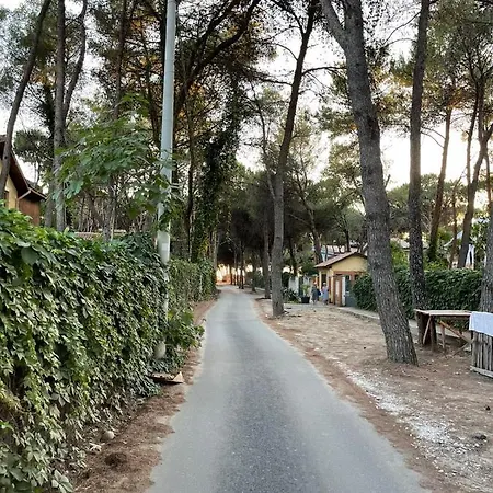 Amad * Golem (Tirana)